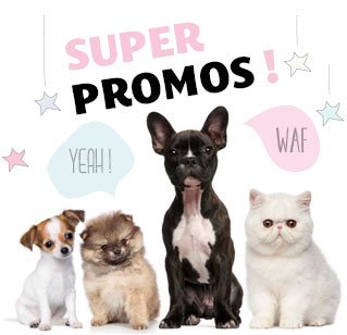 Promotions pour animaux